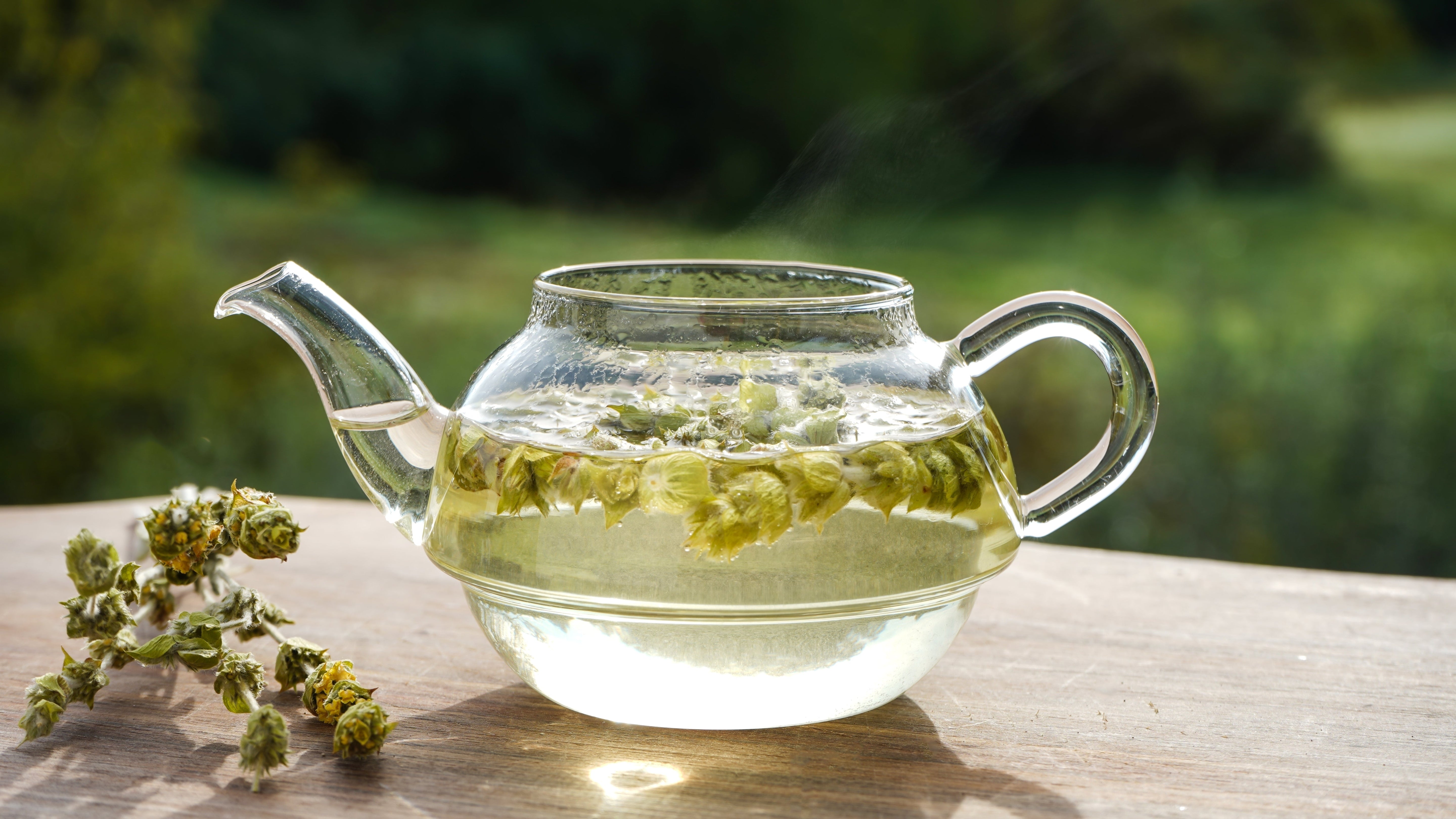 Greek Mountain Tea Benefits: Ancient Wisdom & Modern Wellness with Ambrosia & Nektar Organic Herbal Tea