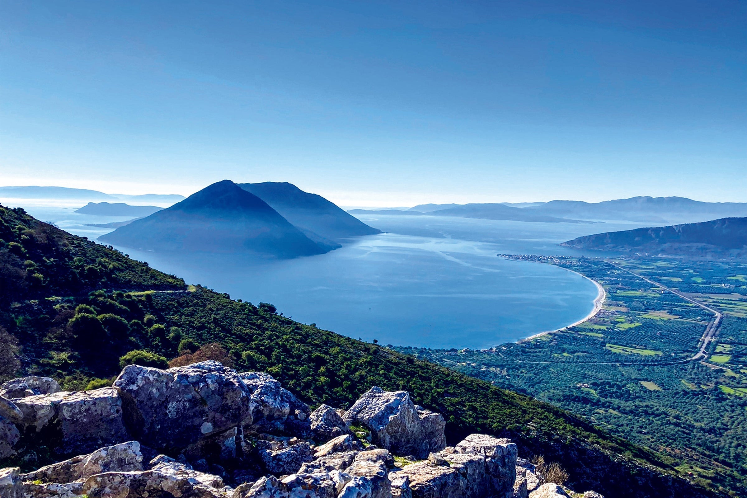 Why European Food Labels Whisper Secrets of the Garden, While American Labels Sometimes Stay Silent