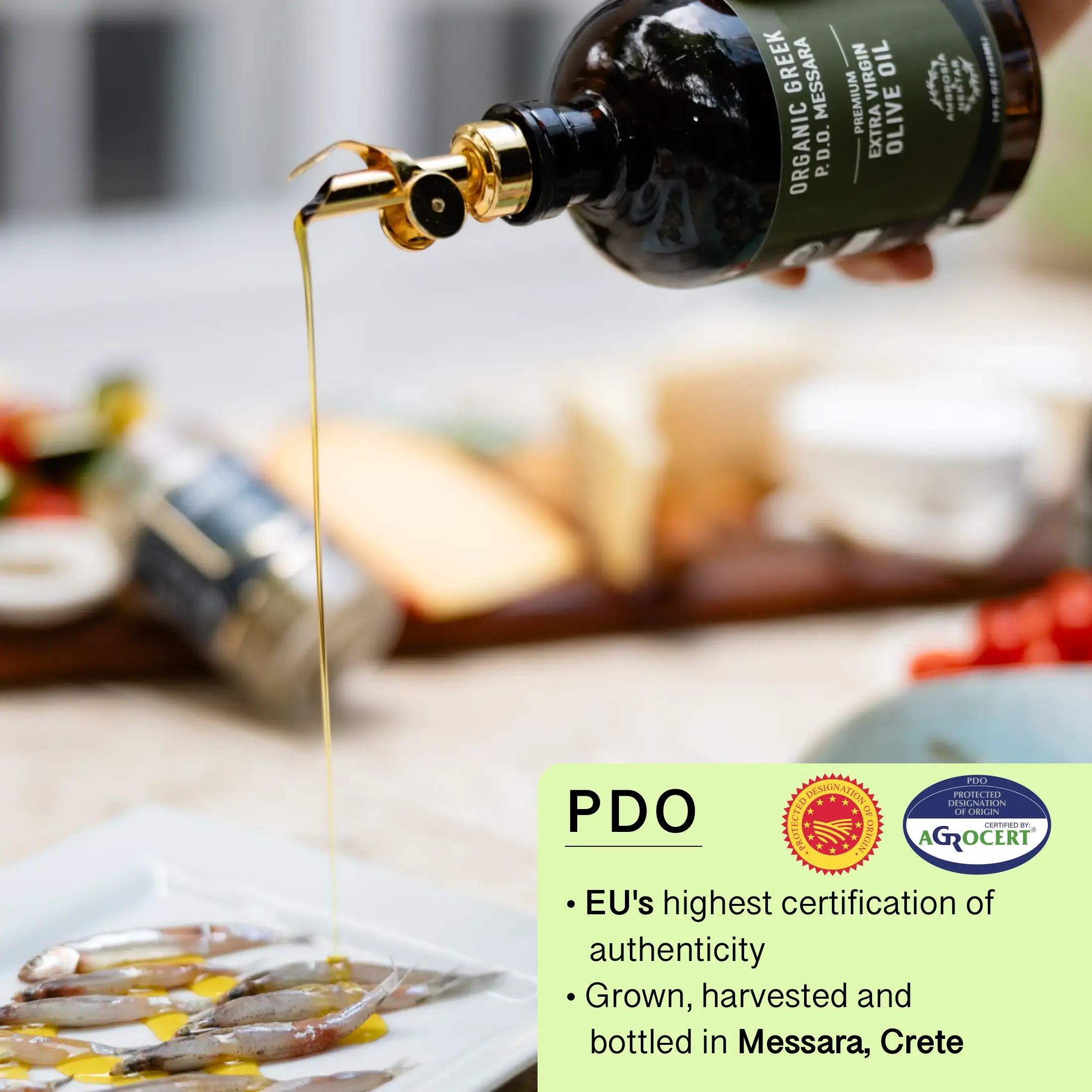 Set: EVOO + EVOO Centenarian + Spout