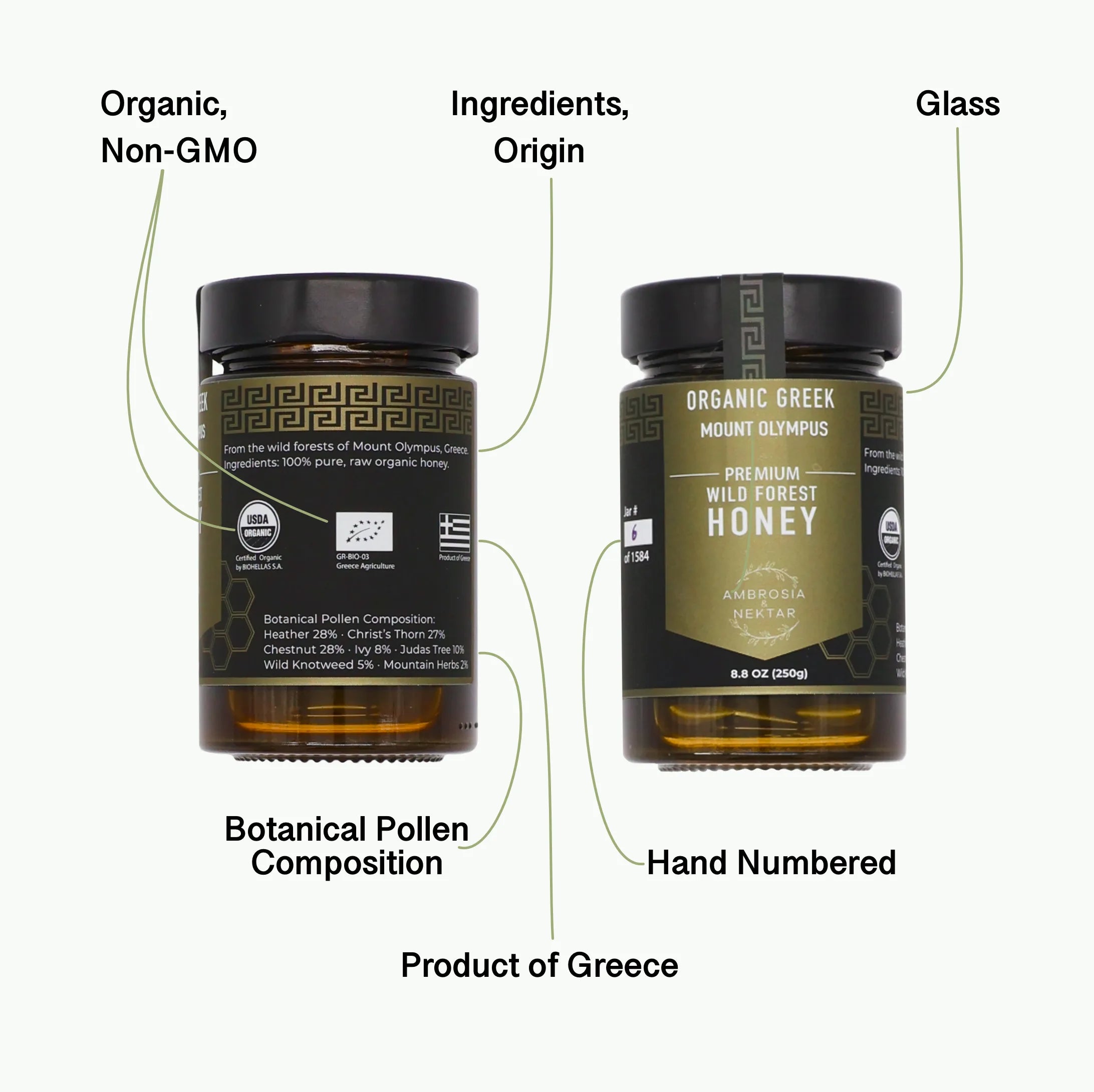 Greek Organic Raw Wild Forest Honey